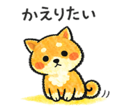 857555962