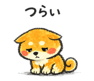 857555966