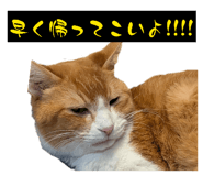 857556189