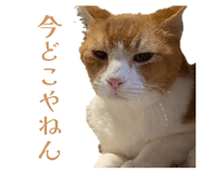 857556191