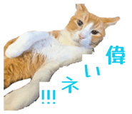 857556192