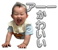 857556462