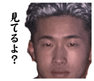 857556531