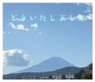 857557645