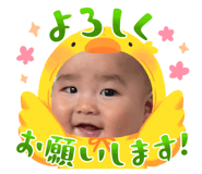857558522