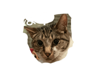 857559233