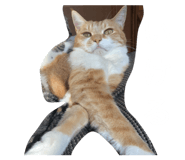 857559239