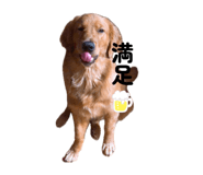 857559589
