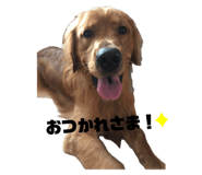 857559616