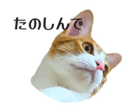 857559820