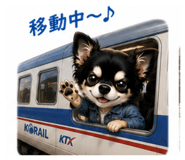 857560075