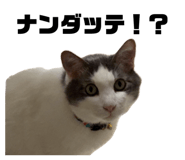 857560190