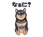 857560326