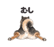 857560328