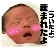 857560425