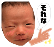 857560431
