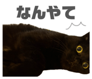 857560456