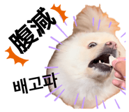 857560704
