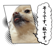 857560709