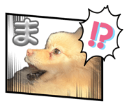 857560719
