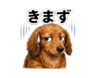 857560945