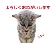 857561588