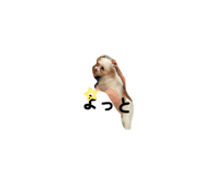 857562261
