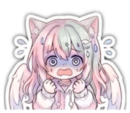 857562660