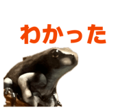 857562954
