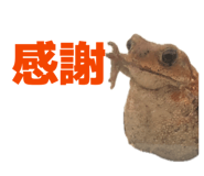 857562956