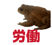 857562958
