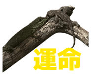 857562960