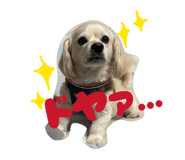 857563078
