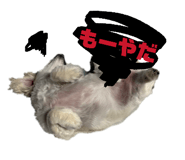 857563079