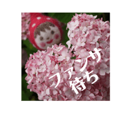 857563131