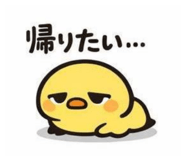 857563385