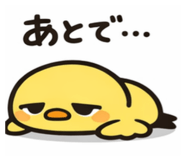 857563392