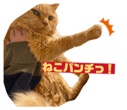 857563468