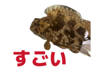 857563548