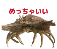 857563551