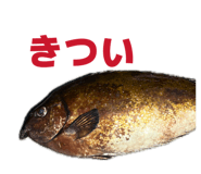 857563553