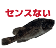 857563560