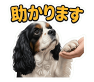 857564110