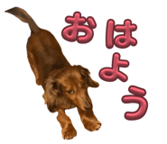 857564113