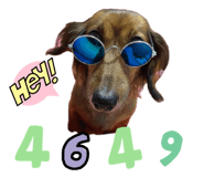 857564124