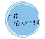 857564159