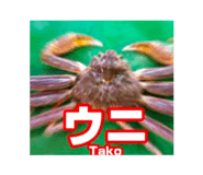 857564163