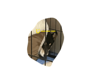 857564165