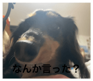 857564168