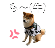 857564490